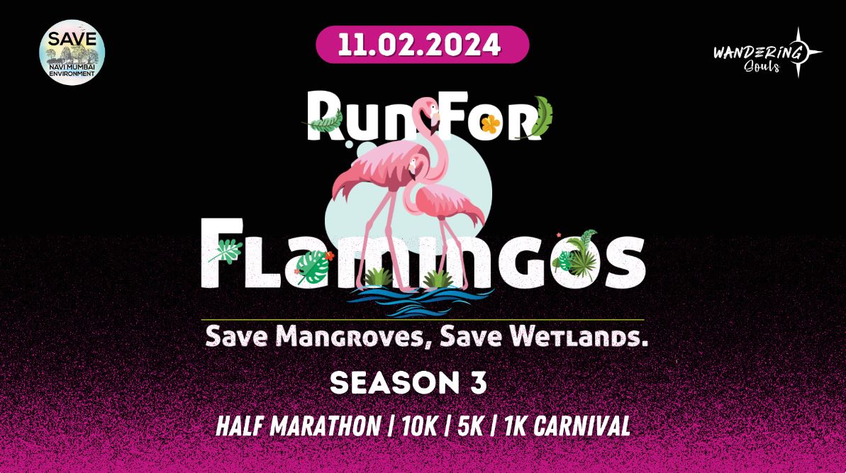 Run For Flamingos Season 3