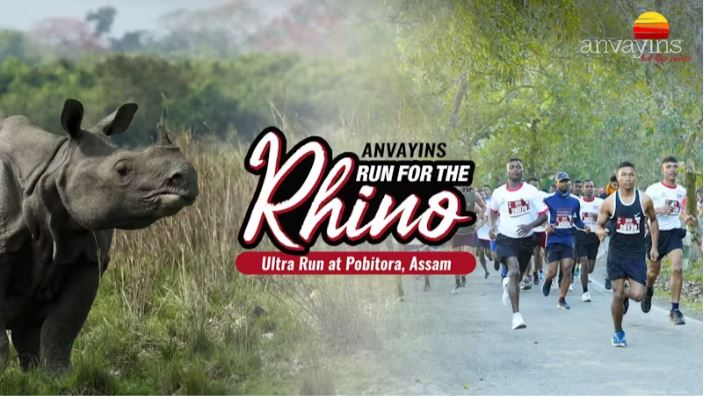 Anvayins Run For The Rhino