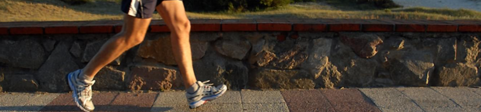 SaiShree VitaLife WellnessVista Run 2026
